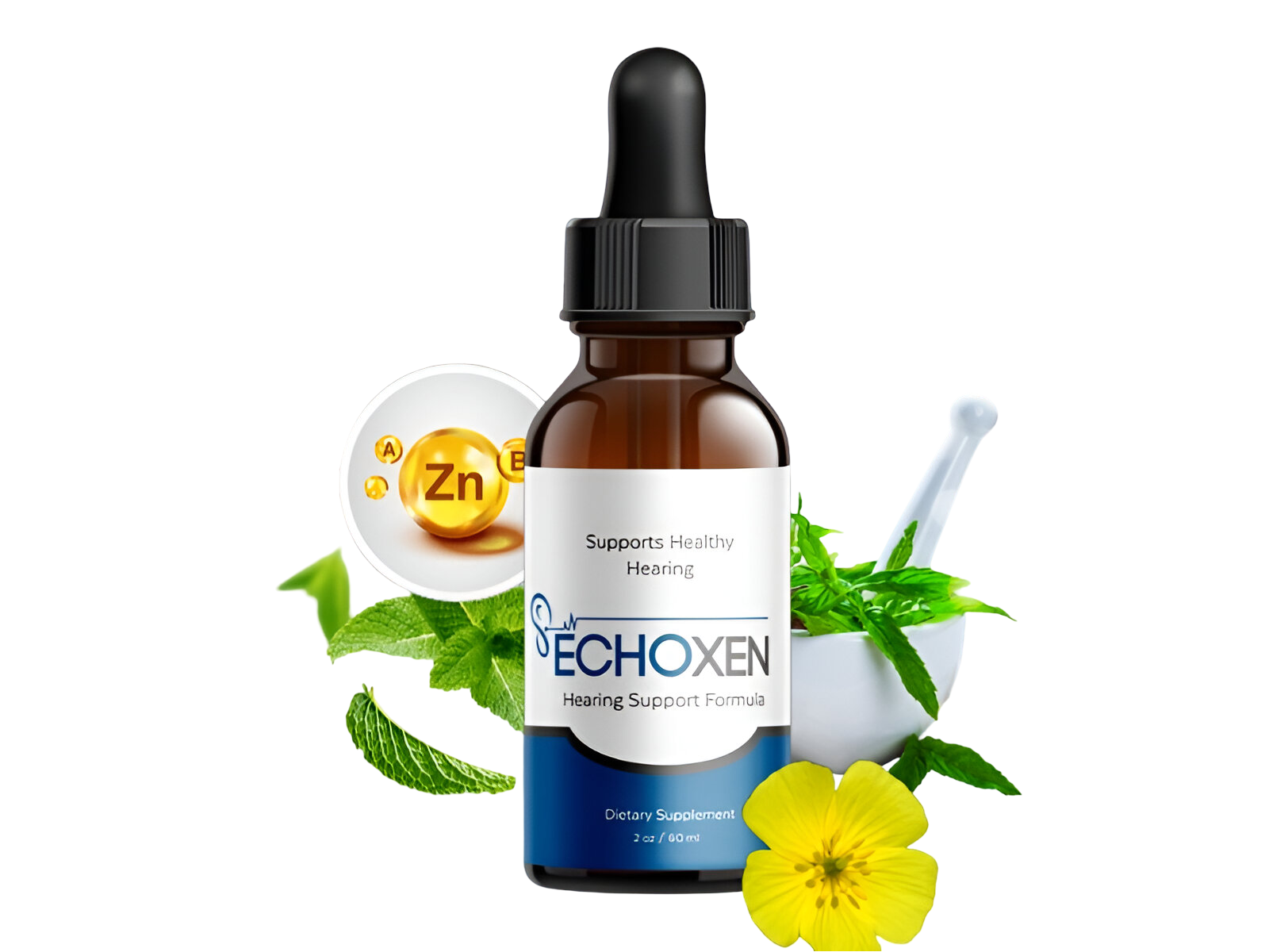 EchoXen Official Product